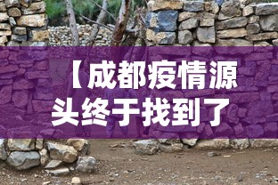 我来告诉你“大唐麻将打牌规律”详细辅助教程分享
