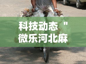 科技动态 ＂微乐河北麻将万能开挂器通用版最新辅助详细教程