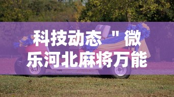 科技动态 ＂微乐河北麻将万能开挂器通用版最新辅助详细教程