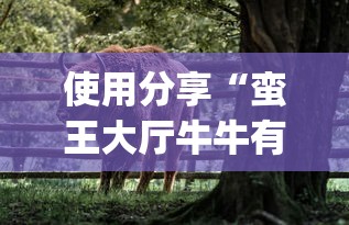 我来告诉你“新版荣耀可不可以用起手好牌挂”详细外挂安装步骤