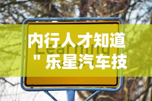 内行人才知道 ＂乐星汽车技术(无锡)有限公司”(透视)其实真的有挂