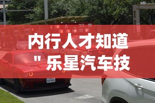 内行人才知道 ＂乐星汽车技术(无锡)有限公司”(透视)其实真的有挂
