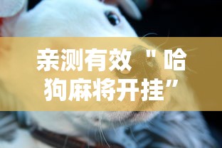 亲测有效 ＂哈狗麻将开挂”真的有挂