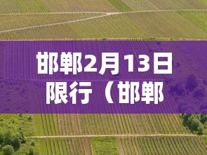 2026 新手必看 ＂旺旺跑得快有挂吗”(透视)辅助透视教程