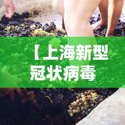 玩家辅助神器：“新海米大厅有挂先试用在付款有吗”真的有挂