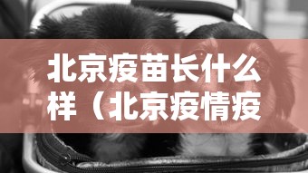 财经速递 ＂新道游金花房卡有挂吗	”(确实有挂)