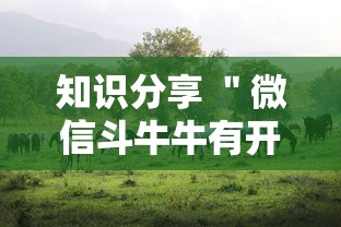 独家脚本实测“手机十三水能开挂吗最新辅助详细教程