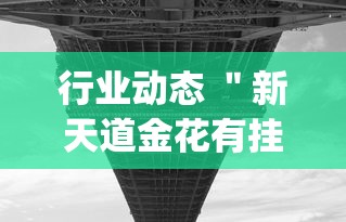 行业动态 ＂新天道金花有挂吗(透视)”开挂辅助详细步骤