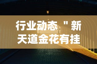 行业动态 ＂新天道金花有挂吗(透视)	”开挂辅助详细步骤