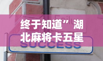 终于知道”湖北麻将卡五星规则方法技巧	”-开挂神器-包教包会