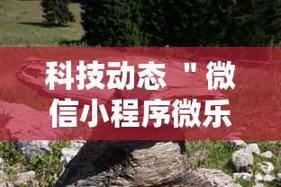 科技动态 ＂微信小程序微乐河南麻将外卦神	”辅助神器插件下载
