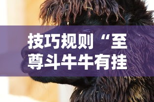 技巧规则“至尊斗牛牛有挂吗	”开挂安装教程