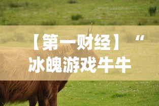 【第一财经】“冰魄游戏牛牛有挂吗”(确实是有挂)知乎