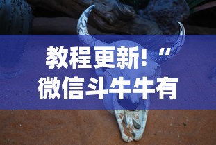 教程更新!“微信斗牛牛有开挂吗[分享装挂详细步骤]
